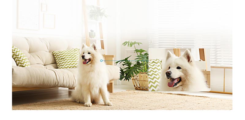 Camera IP Wifi Trong Nhà Ezviz C6 4MP/2K+ – Xoay 360 độ – Đàm Thoại 2 chiều – Điều khiển và nhận dạng hành động vẫy tay