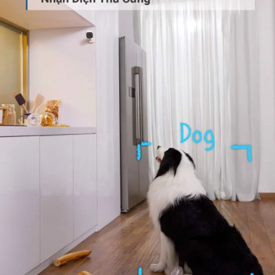 Camera Eufy Indoor Cam 2K xoay 360 độ T8410